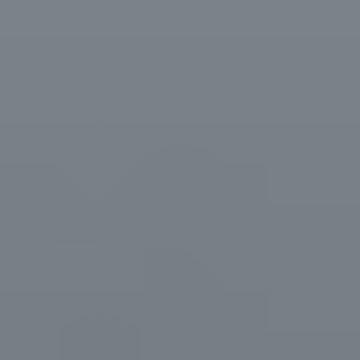 Gray Hood - NP N 3071 D