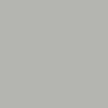 Gray Shirt - NP N 2032 P