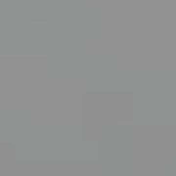 Gray Sweatshirt - NP N 3014 D
