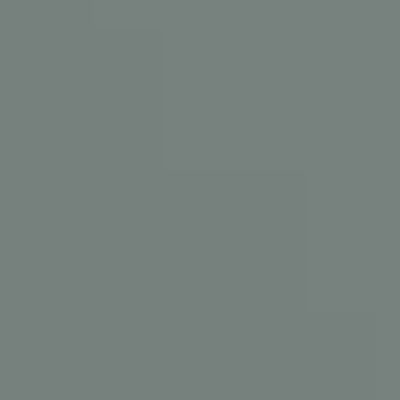 Gray Twister - NP N 3060 D