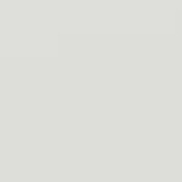 Grayscale - NP N 2997 P