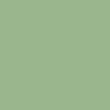 Green Bean - NP BGG 2634 T