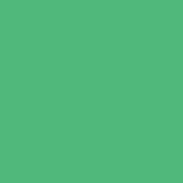 Green Breakers - NP BGG 1632 D
