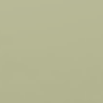 Green Living - NP BGG 1742 T