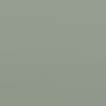 Green Seal - NP N 3265 T