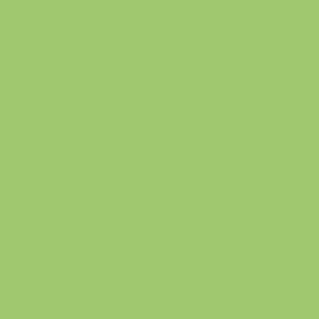 Green Willow - NP BGG 1667 D
