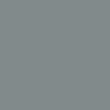 Hard Rock Gray - NP N 3070 D