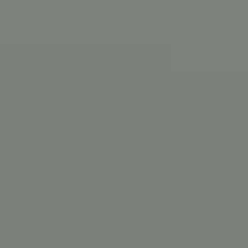 Hardware Gray - NP N 2031 D