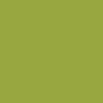 High Point - NP BGG 2603 A