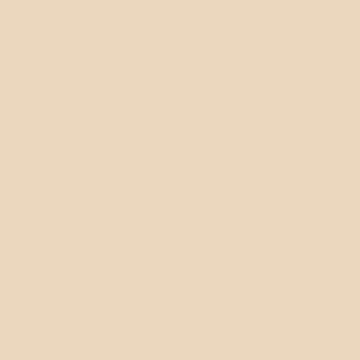 Ice Cream Cone - NP N 3130 P