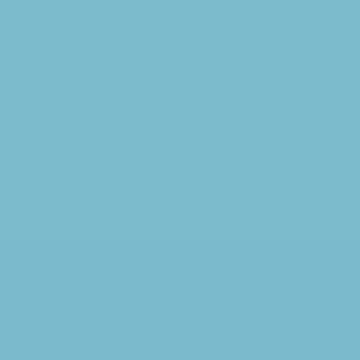Insignia Blue - NP BGG 2800 T