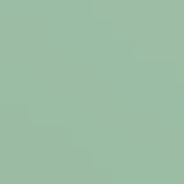Jasper Green - NP BGG 1801 T