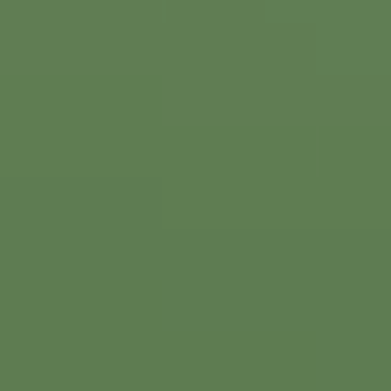 Jungle Foilage - NP BGG 2636 A
