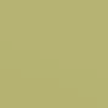 Kiwi Boost - NP BGG 2597 D