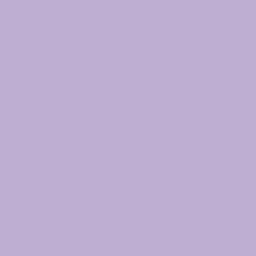 Lavender Fields - NP PB 2946 P