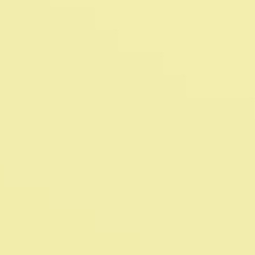 Lemon Custard - 0840