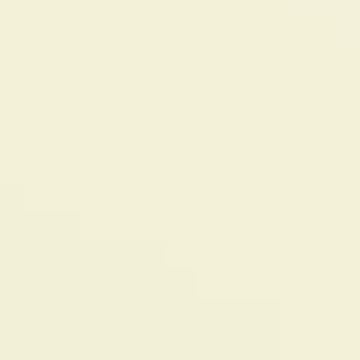 Lemon Zest - NP YO 2523 P