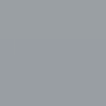 Liberty Gray - NP N 1990 T