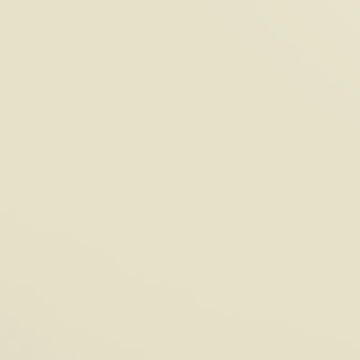 Light Khaki - NP N 3241 P