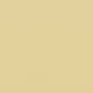 Light Tangerine - 0824
