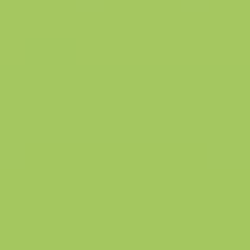 Lilting Green - NP BGG 1779 D