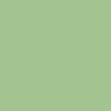 Lily Stem - NP BGG 1784 T