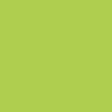 Lime Punch - NP BGG 2607 D