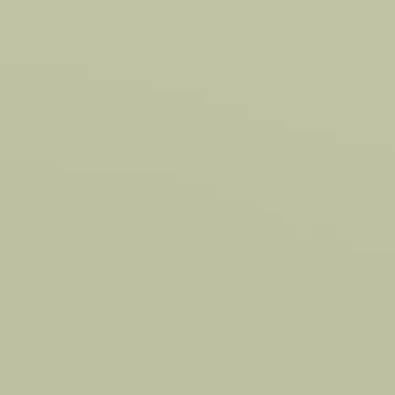 Little Garden - NP BGG 1745 P