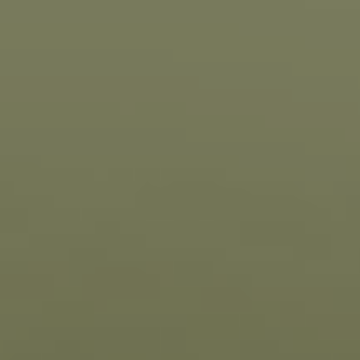 Livia Green - NP BGG 1743 A