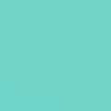 Lush - NP BGG 1605 T