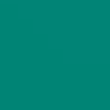 Maldives Sea - NP BGG 2699 A