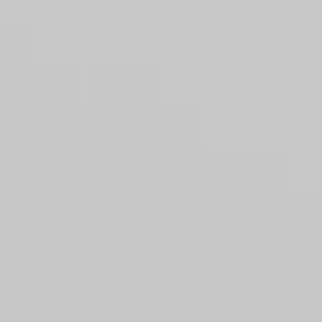 Mammoth Gray - NP N 3049 P