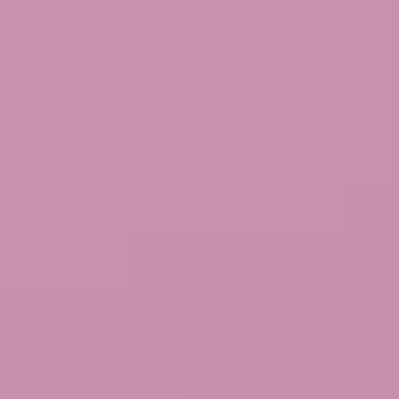 Marjory Phlox - NP R 1329 T