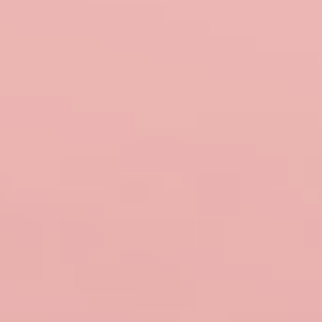 Martha's Pink - NP R 1354 P