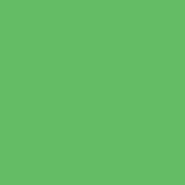 Matcha Green - NP BGG 1646 D