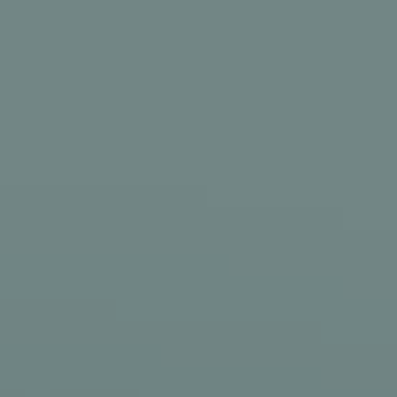 Mauryan Sea - NP N 3287 D