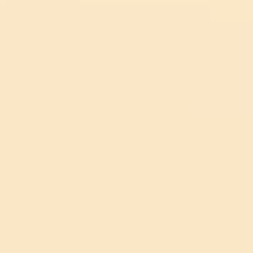 Melted Cheese - NP YO 2463 P