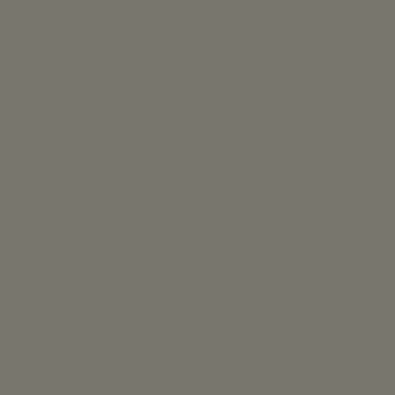 Millenium Gray - NP N 2036 D