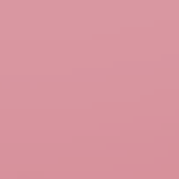 Miniature Rose - NP R 1343 T