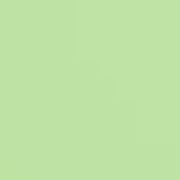 Minty Soul - NP BGG 2643 T