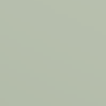 Misty Spring - NP N 3264 P