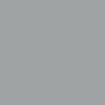Mojave Gray - NP N 3000 P