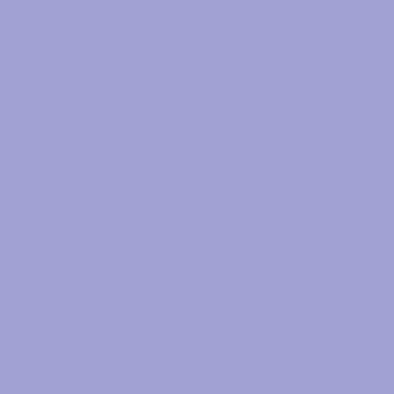 Morning Glory - NP PB 2930 P