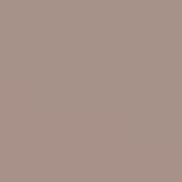 Mushroom Brown - NP N 1882 T