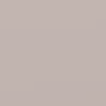 Muted Mauve - NP N 3363 P