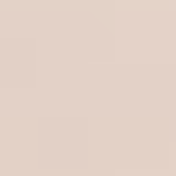 Muted Nude - NP N 3167 P