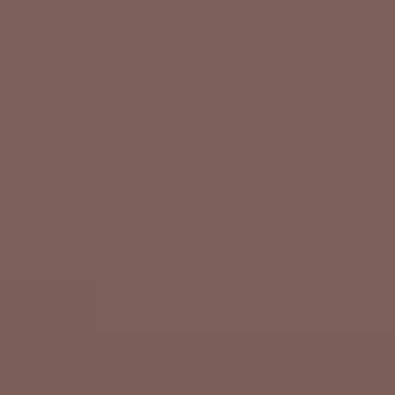 Newtowne Brown - NP N 1890 A
