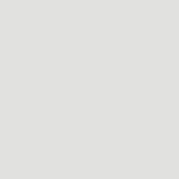 Nitro Gray - NP N 2984 P