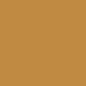 Ollie Gold - NP AC 2131 A