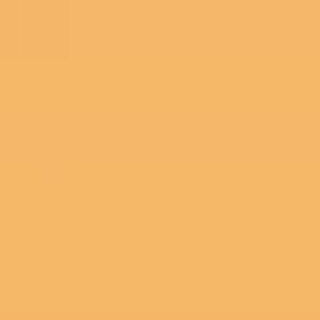 Orangelicious - NP YO 2461 D